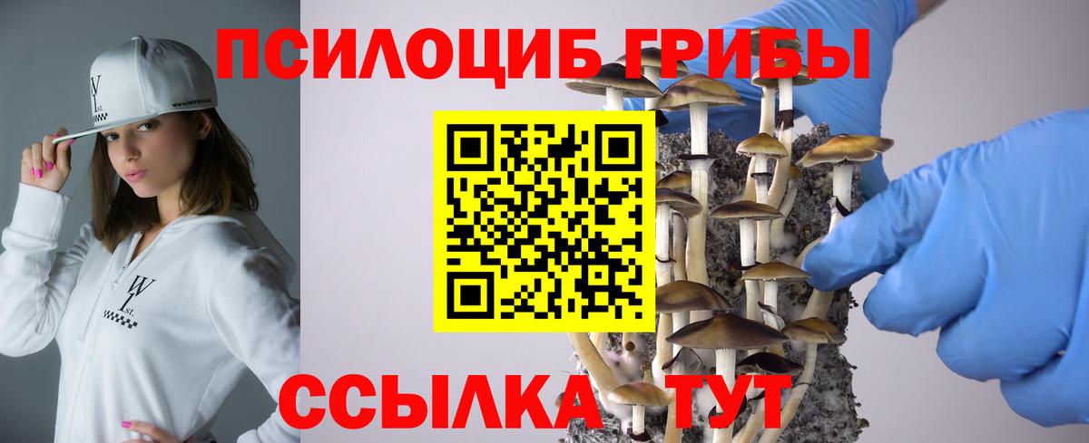 Галлюциногенные грибы Psilocybe Волхов